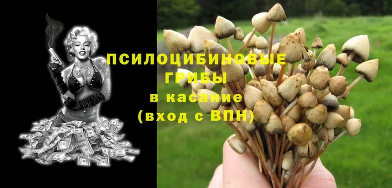 Псилоцибиновые грибы MAGIC MUSHROOMS  Волгоград 